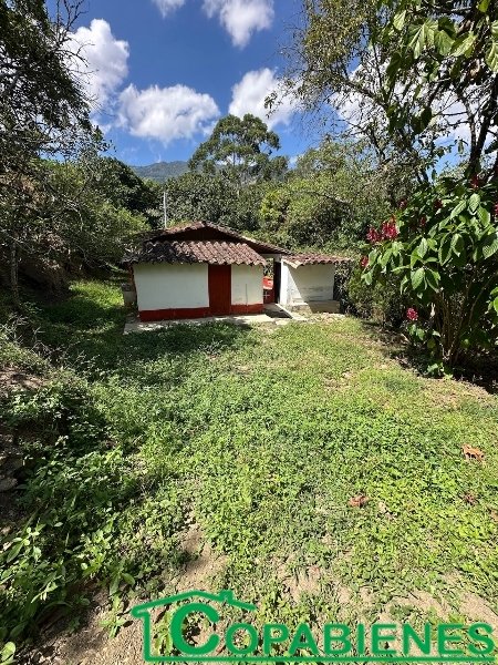 Apartamento en Arriendo en El Cabuyal