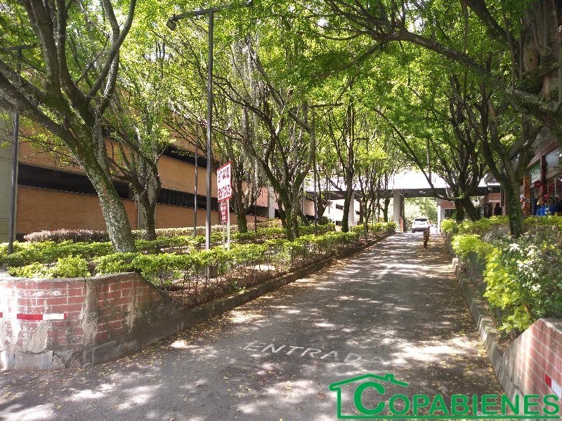 Apartamento en Arriendo en La Primavera