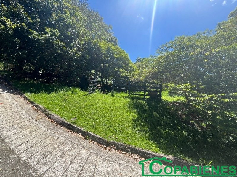 Terreno en Venta en Vereda La Veta