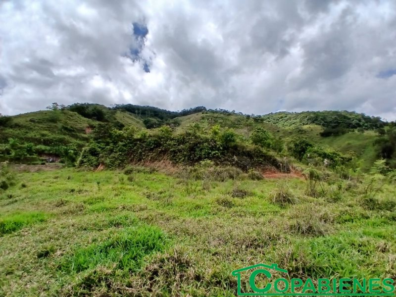 Terreno en Venta en La Cortada